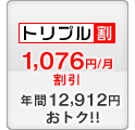セット割 -1,076円/月