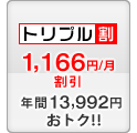 セット割 -1,166円/月