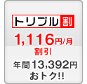 セット割 -1,116円/月