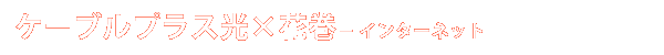ケーブル光コラボ+ - インターネット
